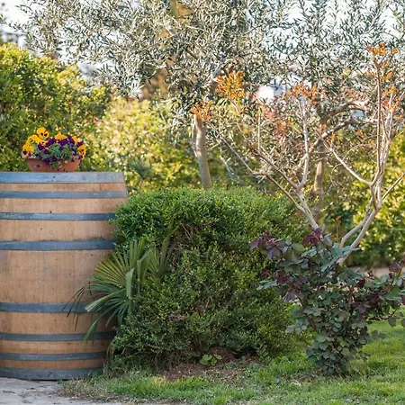 Vakantiehuis Wine Garden *