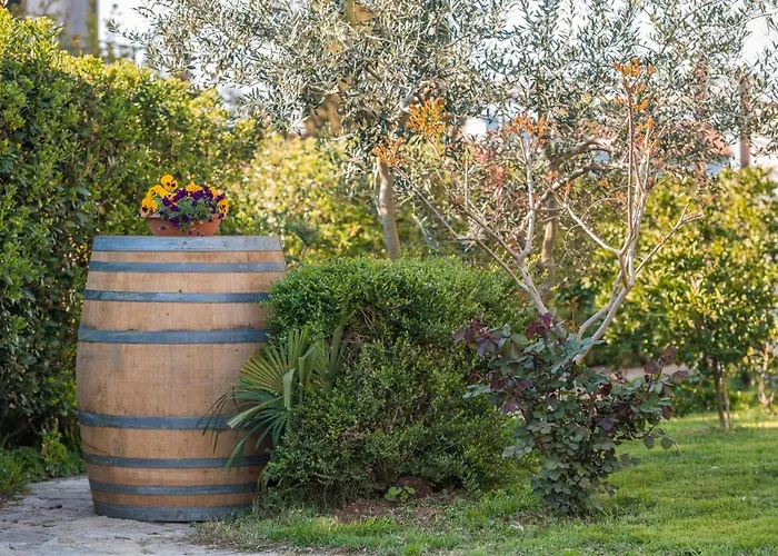 Vakantiehuis Wine Garden *